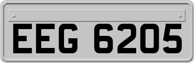 EEG6205