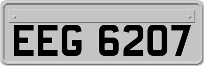 EEG6207