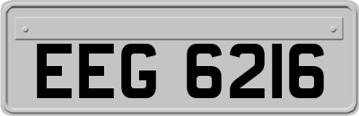 EEG6216