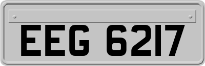 EEG6217