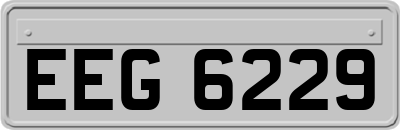 EEG6229