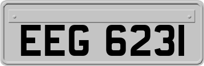 EEG6231