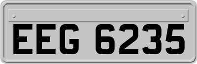 EEG6235