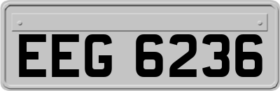 EEG6236