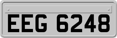 EEG6248
