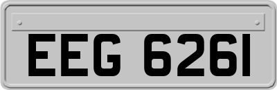 EEG6261