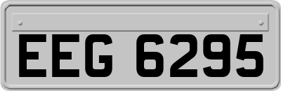 EEG6295