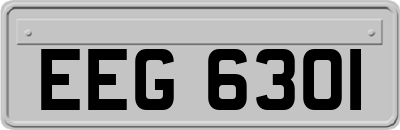 EEG6301