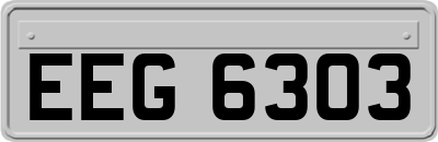 EEG6303