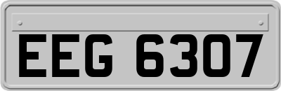 EEG6307