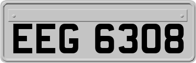 EEG6308