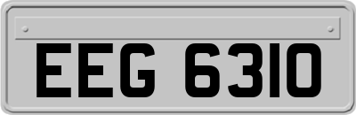 EEG6310