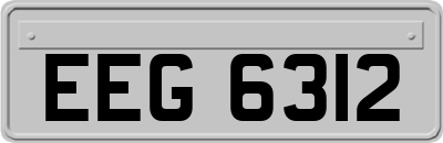 EEG6312