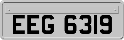 EEG6319