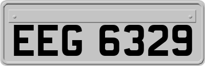 EEG6329