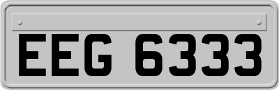 EEG6333