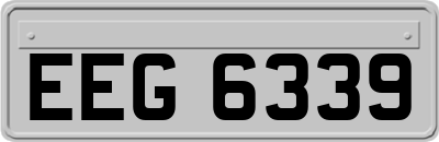 EEG6339