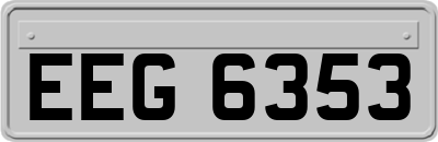 EEG6353