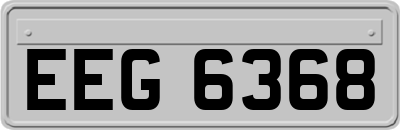 EEG6368