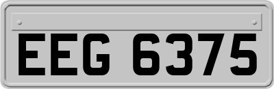 EEG6375