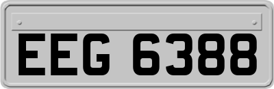 EEG6388