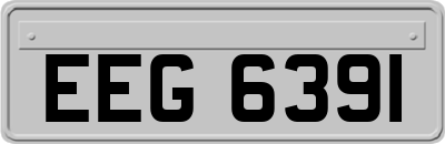 EEG6391
