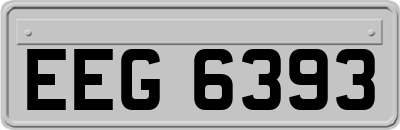 EEG6393