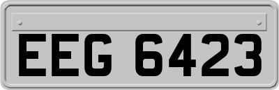 EEG6423