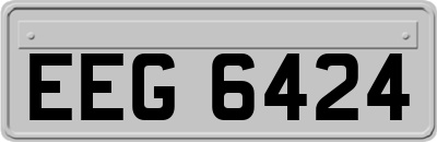 EEG6424