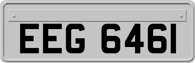 EEG6461