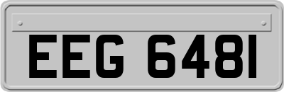 EEG6481