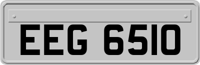 EEG6510
