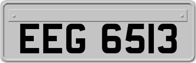 EEG6513