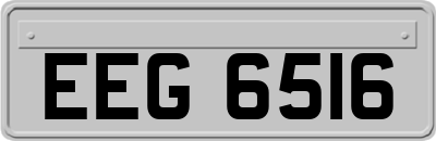 EEG6516