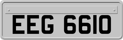 EEG6610