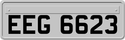 EEG6623