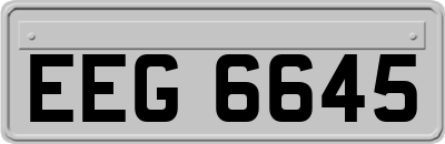 EEG6645