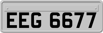 EEG6677
