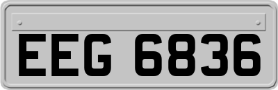 EEG6836