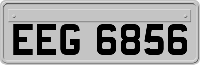 EEG6856