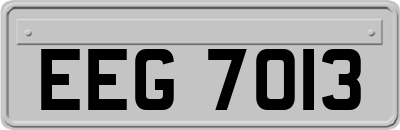 EEG7013