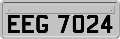 EEG7024