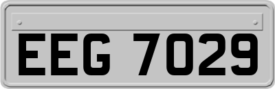 EEG7029