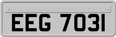 EEG7031