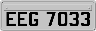 EEG7033
