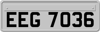 EEG7036