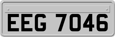 EEG7046