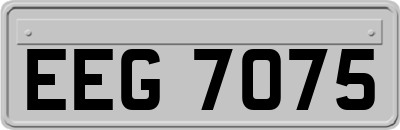 EEG7075