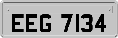 EEG7134