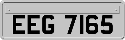 EEG7165